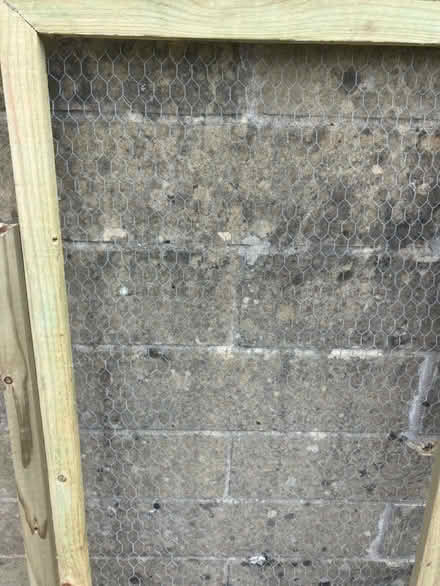 Photo of Chicken wire (Bath, odd down) #1