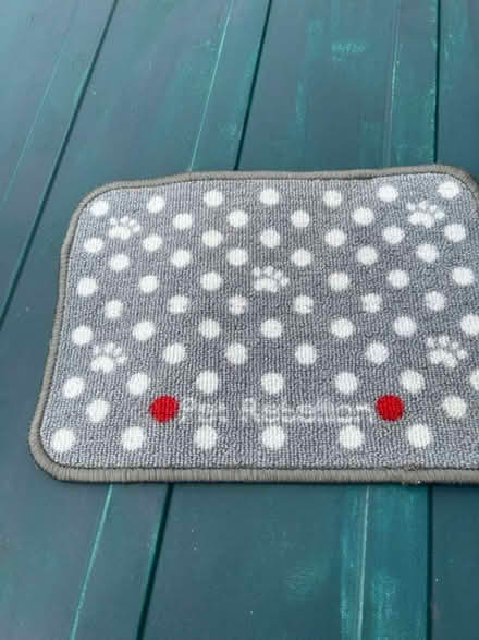 Photo of free Pet mat (OX4 4) #1
