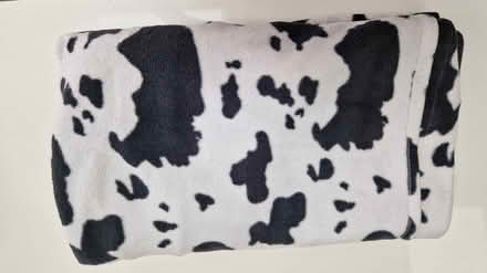 Photo of free Cow patterned slanket (KT3 - Motspur Park) #1
