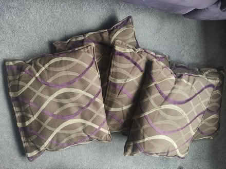 Photo of free Five small cushions (Melksham SN12) #1