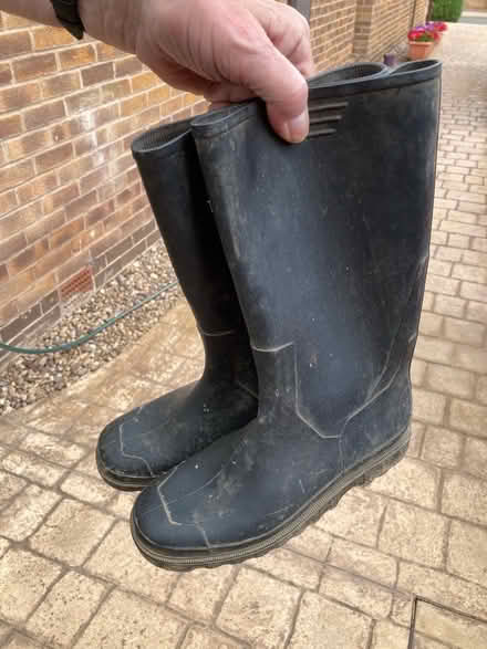 Photo of free Wellies size 5 (Chesterfield S40) #1