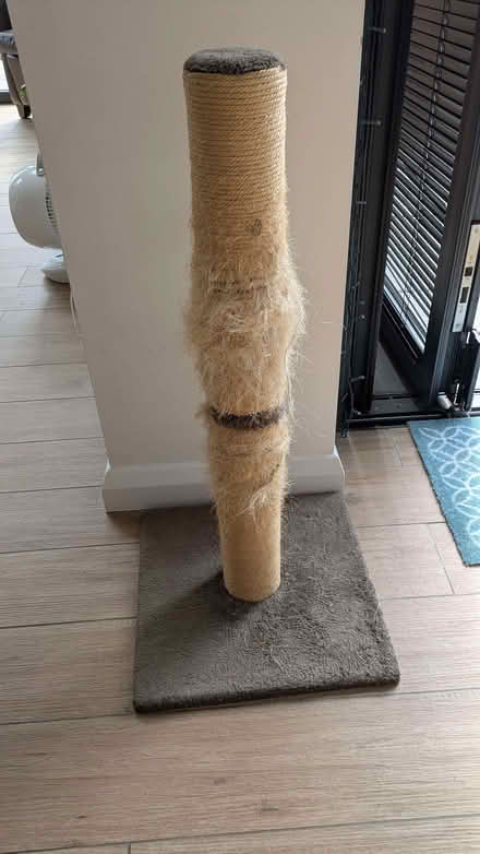 Photo of free Cat scratching post (Fleetville AL1) #1