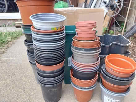 Photo of free Single and multi plant pots (St Helens TN35) #1