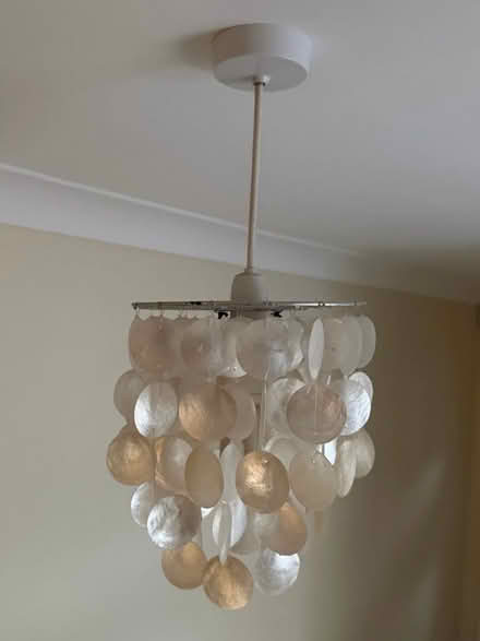 Photo of free Ceiling lampshade (Weston) #1