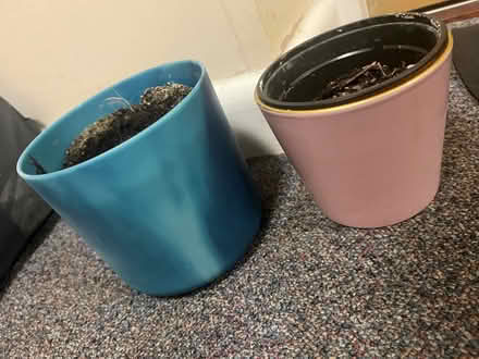 Photo of free Small plant pots (Weston) #1