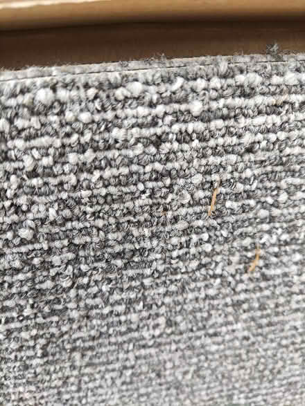 Photo of free 2 unused carpet tiles (AL4) #2