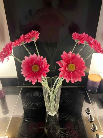 Photo of free Pink fake flowers (Kirkby Overblow HG3) #1