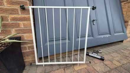 Photo of free Safety Gate (High Green S35) #1