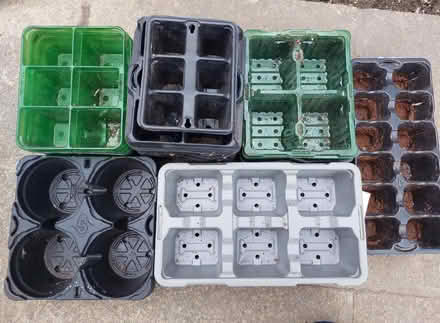 Photo of free Single and multi plant pots (St Helens TN35) #3