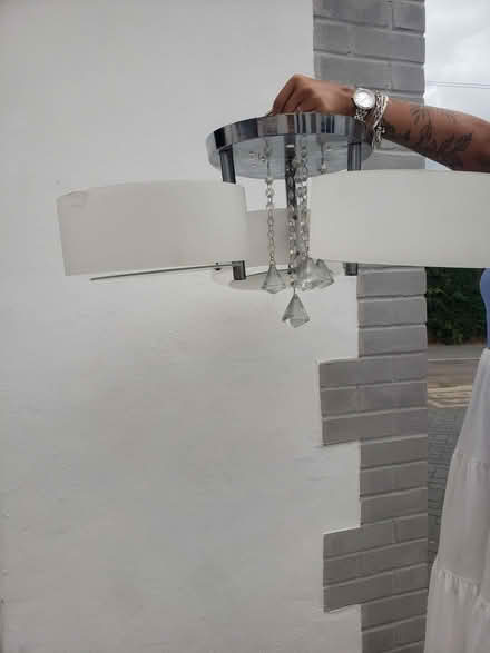 Photo of free Light (Parson's Heath CO4) #1