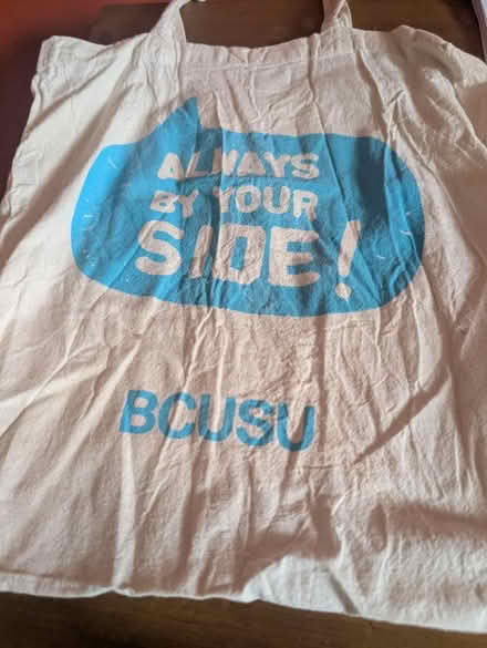 Photo of free Various soft bags (Neasden NW10) #3