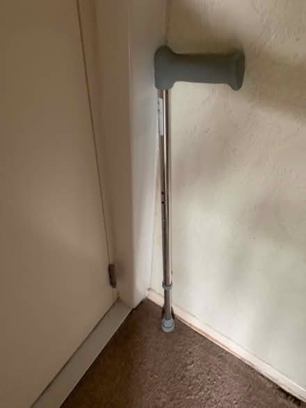 Photo of free Walking Stick (Muswell Hill N10) #1