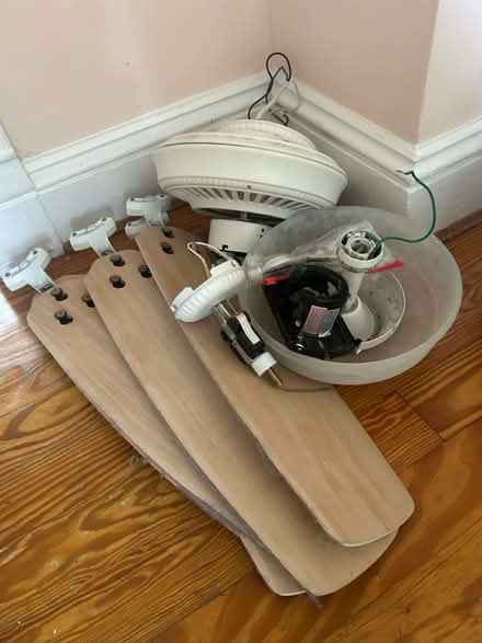 Photo of free Ceiling Fan (Berwyn Heights) #3