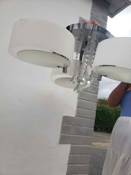 Photo of free Light (Parson's Heath CO4) #2