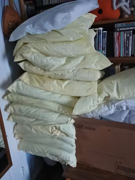 Photo of free hospital pillows (Virginia Beach - Salem Lakes) #1