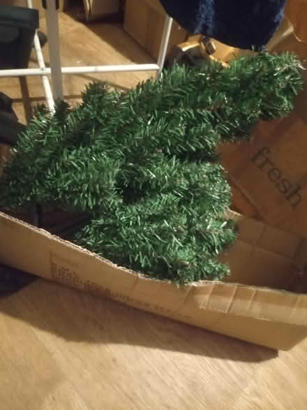 Photo of free Christmas Tree (Stopsley LU2) #1