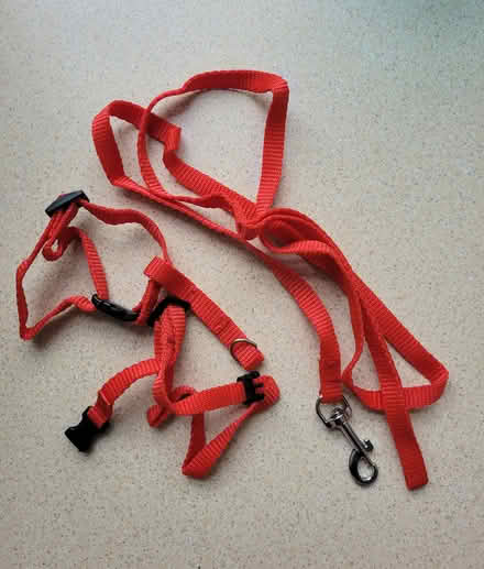Photo of free Pet harness pieces (Morley LS27) #1