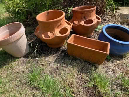 Photo of free 5 plant pots (Northolt UB5) #1