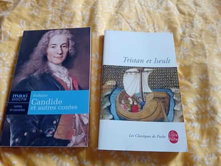 Photo of free Books in French (Didsbury) #1