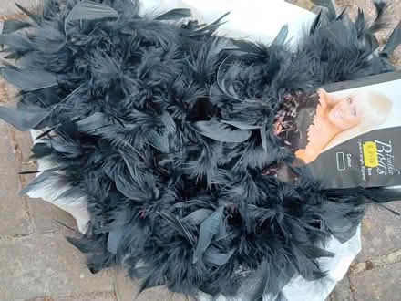 Photo of free Boa , feather, black (PO14 Fareham) #1