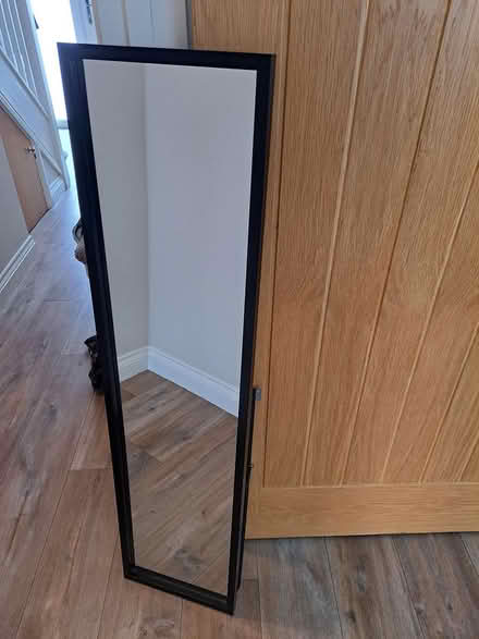 Photo of free Dunelm standing mirror (Beverley HU17) #1