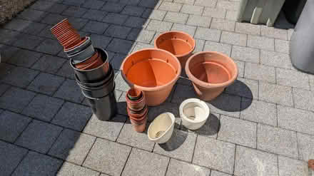 Photo of free Plastic plant pots (Bare) #1