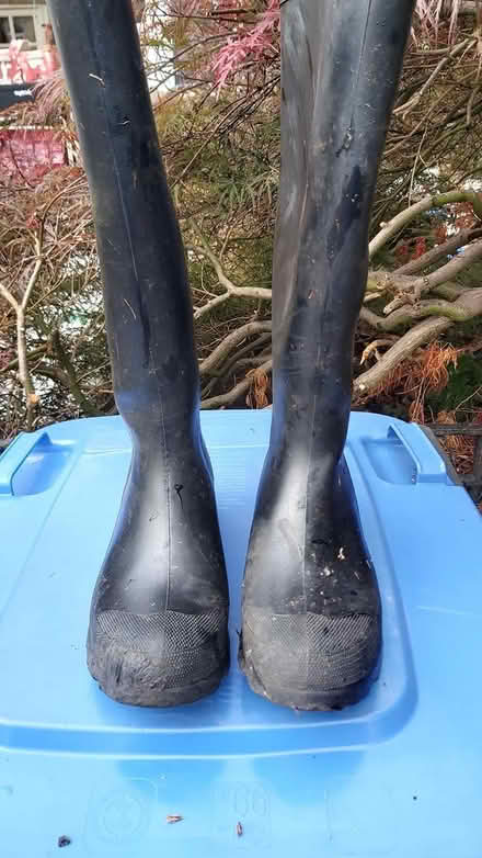 Photo of free Wellington boots size 43 / 9 (KT14) #2