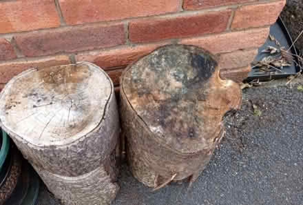 Photo of free Wooden pieces of tree trunk (Cleveleys FY5) #1