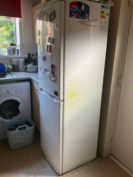 Photo of free Fridge Freezer (WN7) #3