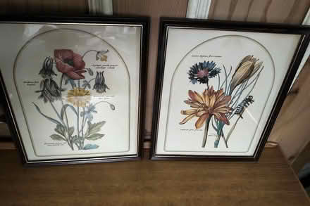 Photo of free Prints 1 (Belper DE56) #1