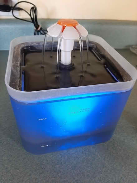 Photo of free Fountain for small dog or cat (Milwaukie, Ardenwald) #1