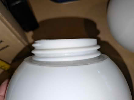 Photo of free Two screw in glass light globes (Cannon Park CV4) #3