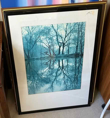 Photo of free Framed tree picture 80 x 60cm (Hindhead) #1