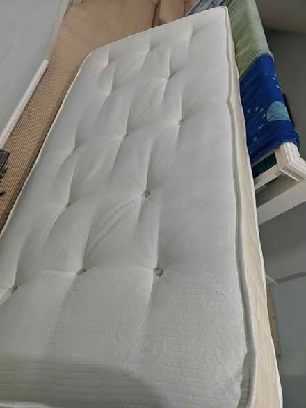 Photo of free 2 x Single mattresses (SW17) #1