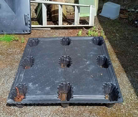 Photo of free Plastic pallet (Burton-in-Kendal LA6) #2