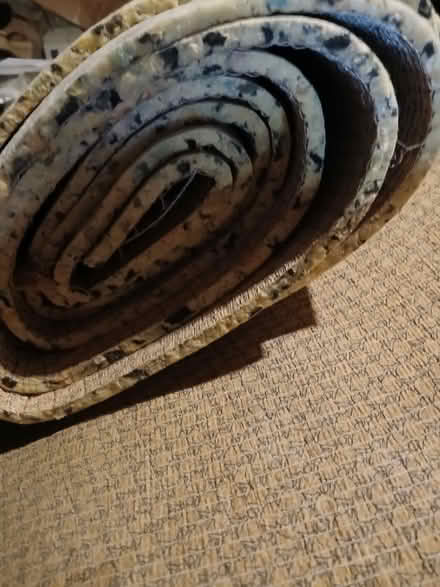 Photo of free Underlay (Havant PO9) #1