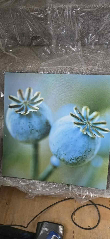 Photo of free Picture (Perivale W5) #1