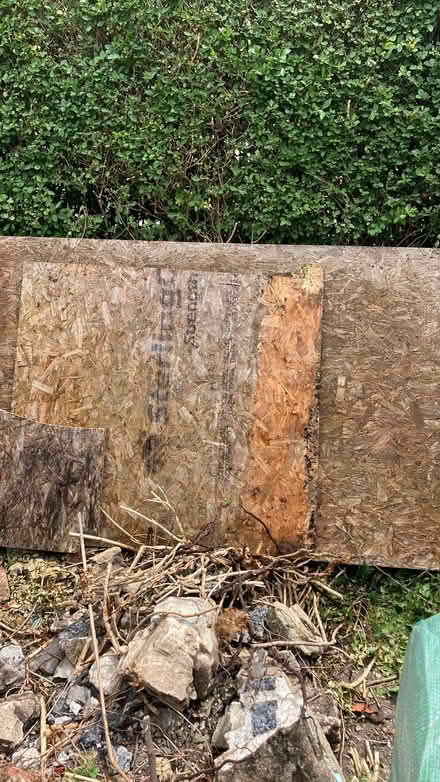 Photo of free Large pieces of board 260x122xm (Brentry BS10) #2