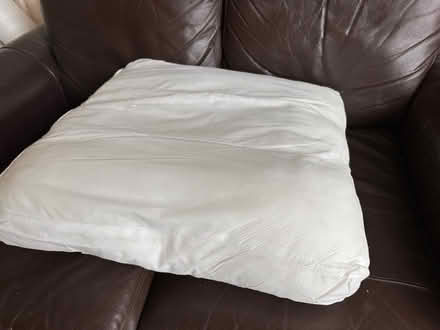 Photo of free Dog bed? (Nether edge S11) #1
