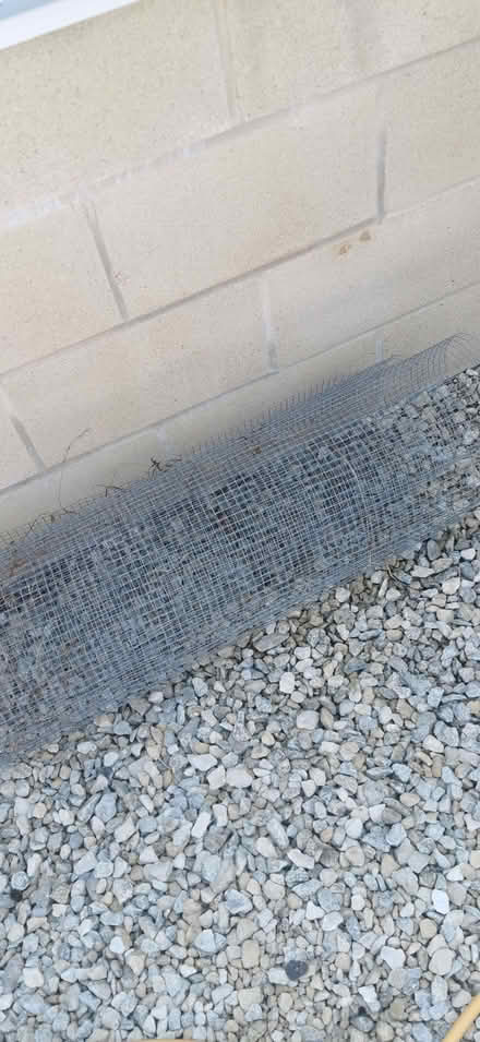 Photo of free Wire netting (Weston) #1