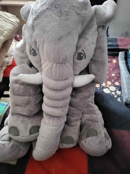 Photo of free Elephant (Old Town SG1) #1