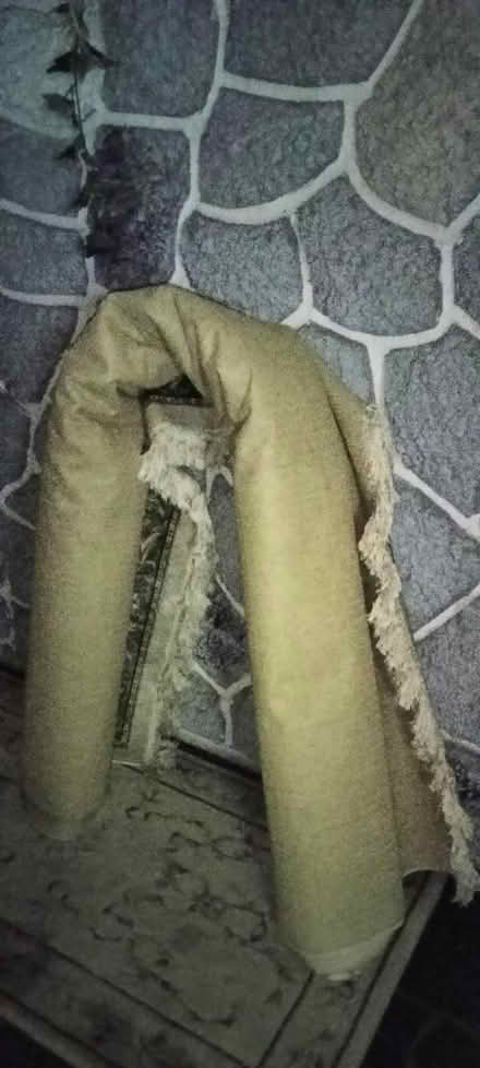 Photo of free 8x10 Rug (Largo near indian rocks) #1