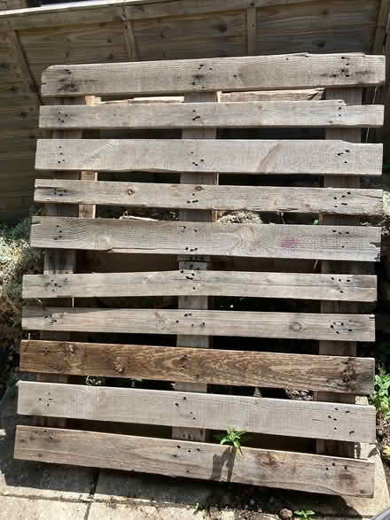 Photo of free Wooden pallet (slightly broken) (BA2) #1