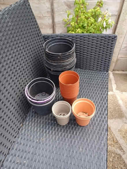 Photo of free Plant supports and plant pots (Worcester WR5) #1