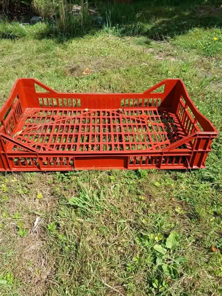 Photo of free Fruit and veg boxes (Tillington GU28) #1