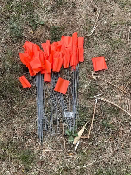 Photo of free Yard Marker Flags (ware SG12) #1