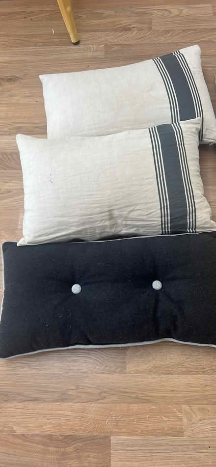 Photo of free 6 Cushions (Studland BH19) #2