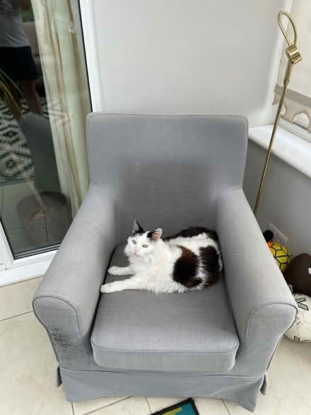 Photo of free Lovely Grey Armchair (BR8) #1