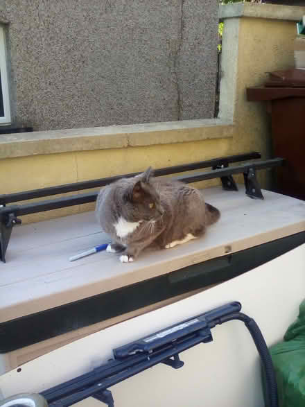 Photo of free Paddy Hopkirk roof bars (Shipley, BD18) #2