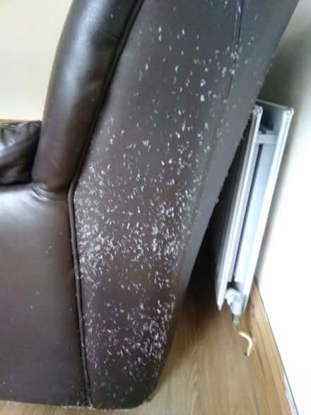 Photo of free Leather effect sofa (Kendal LA9) #2